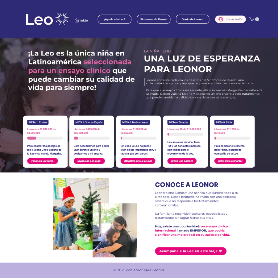 Foto del e-commerce solidario para recaudar fondos médicos.